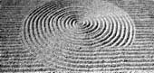 ZEN-M&eacute;ditation sur le web