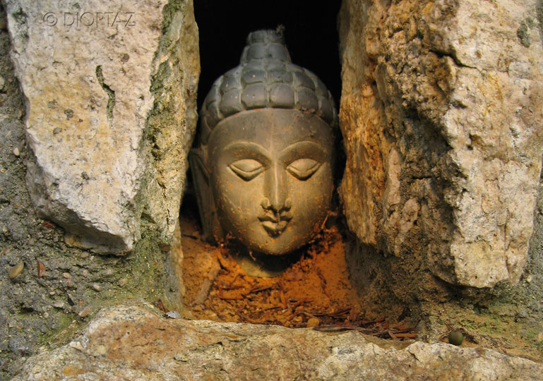 101 bouddha 81