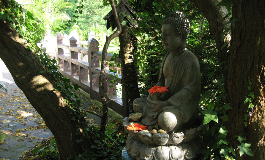 101 bouddha 24